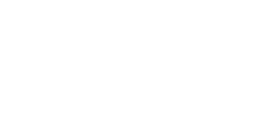 ARA SKIP CAPITAL Logo